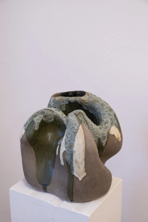 DSCF1698.jpg