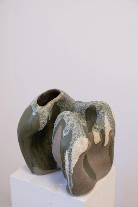 DSCF1701.jpg