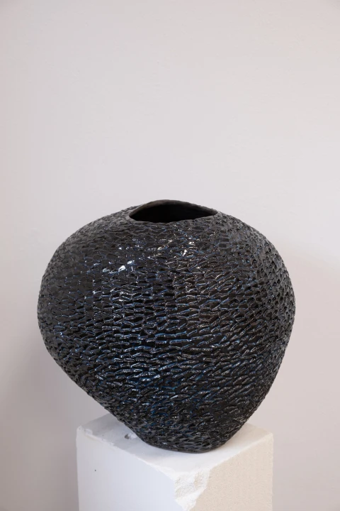 DSCF2437.jpg