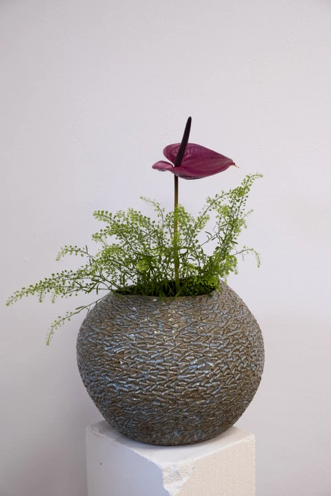 DSCF2608.jpg